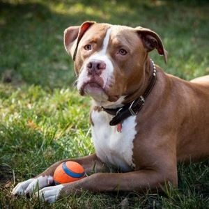 Meet your Posher, Raquel